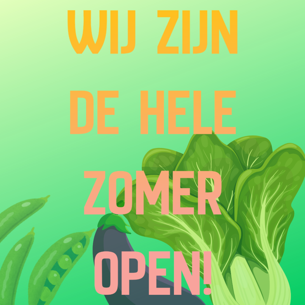 Zomerse Groenten Achtergrond